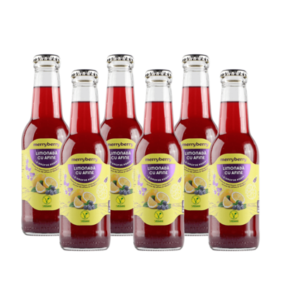 6 Sticle Limonad Afine i sirop de agave 200ml