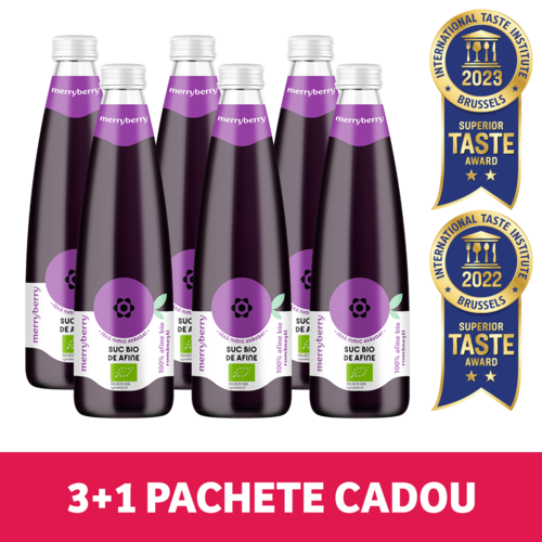 Pachet 6 Sticle Suc BIO Natural din Afine fără zahăr 350ml