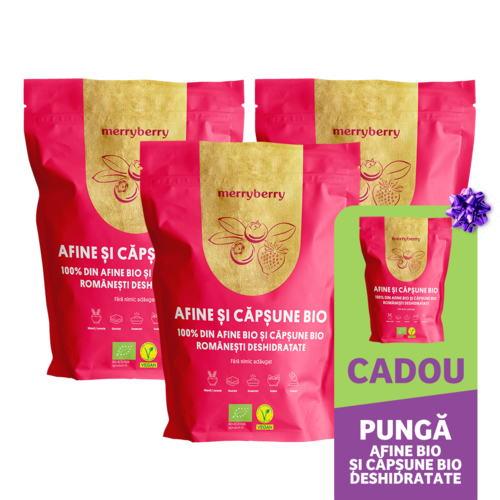 Afine BIO și Căpșune BIO Deshidratate 100gr