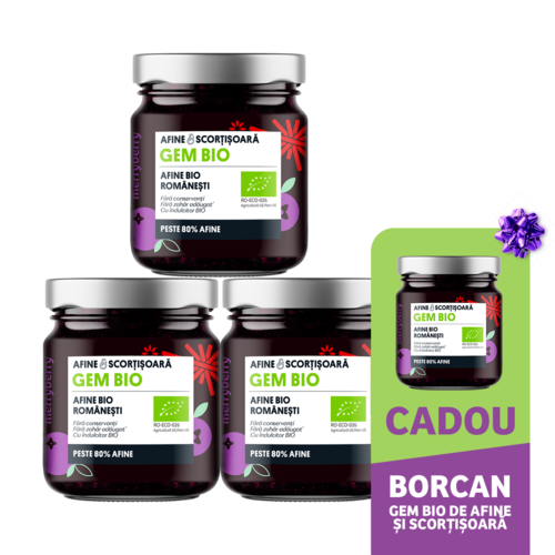 Gem BIO de Afine și Scorțișoară fără zahăr 230gr