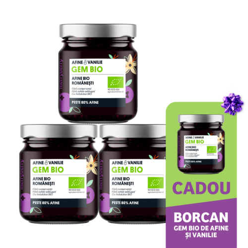 Gem BIO de Afine și Vanilie fără zahăr 230gr