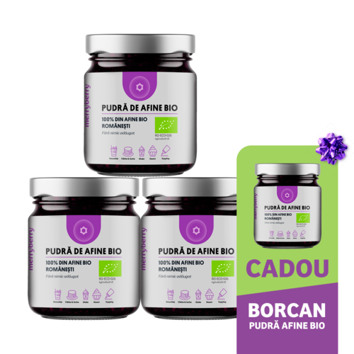 Pudră de Afine BIO 100gr
