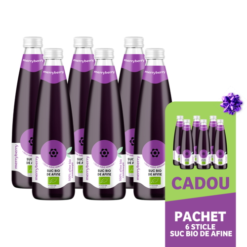 6 Sticle Suc BIO Natural din Afine fără zahăr 350ml
