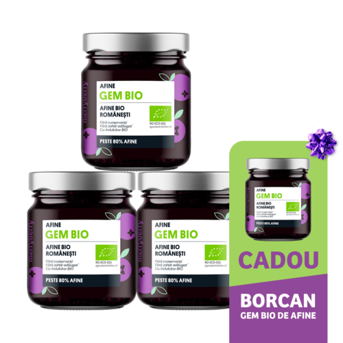 Gem BIO de Afine fără zahăr 230gr