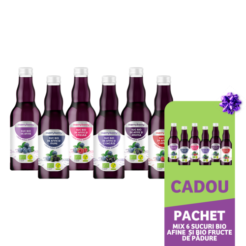 Mix 6 Sucuri BIO Afine si BIO FRUCTE DE PADURE 200ml