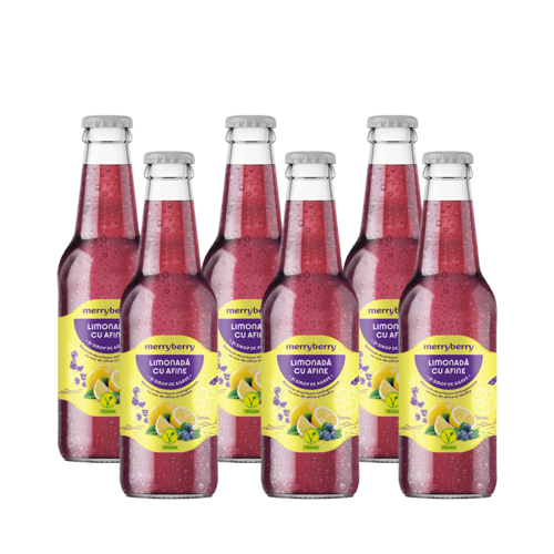 6 Sticle Limonadă Afine și sirop de agave 200ml
