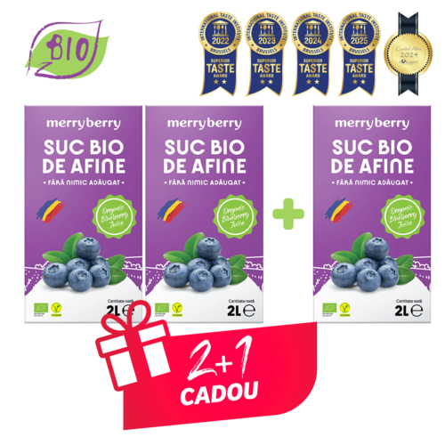 Suc BIO Natural din Afine fără zahăr 2L