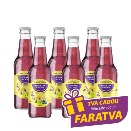 6 Sticle Limonadă Afine și sirop de agave 200ml