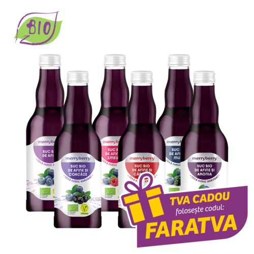 Mix 6 Sucuri BIO Afine si BIO FRUCTE DE PADURE 200ml
