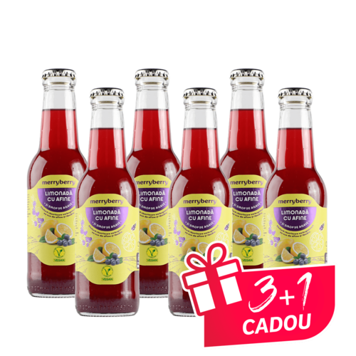 6 Sticle Limonadă Afine și sirop de agave 200ml