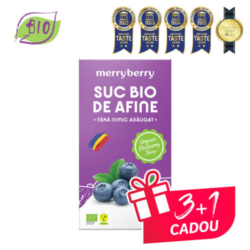 Suc BIO Natural din Afine fără zahăr 2L
