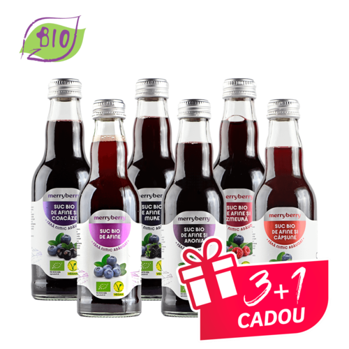 Mix 6 Sucuri BIO Afine si BIO FRUCTE DE PADURE 200ml