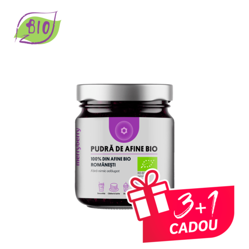 Pudră de Afine BIO 100gr