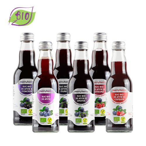 Mix 6 Sucuri BIO Afine si BIO FRUCTE DE PADURE 200ml