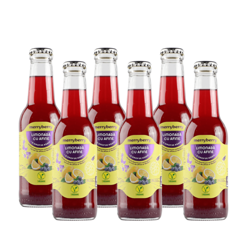 6 Sticle Limonadă Afine și sirop de agave 200ml