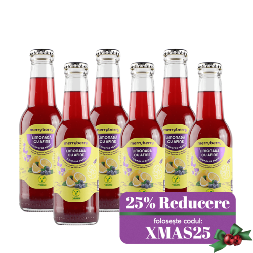 6 Sticle Limonadă Afine și sirop de agave 200ml