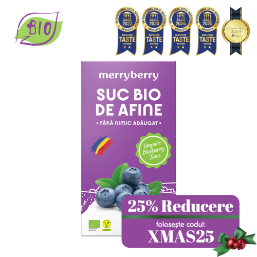 Suc BIO Natural din Afine fără zahăr 2L