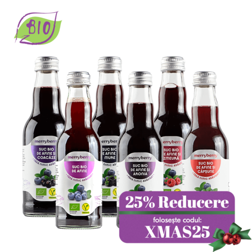 Mix 6 Sucuri BIO Afine si BIO FRUCTE DE PADURE 200ml