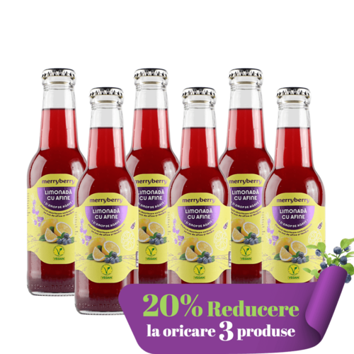 6 Sticle Limonadă Afine și sirop de agave 200ml
