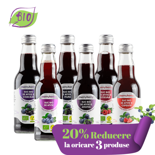 Mix 6 Sucuri BIO Afine si BIO FRUCTE DE PADURE 200ml