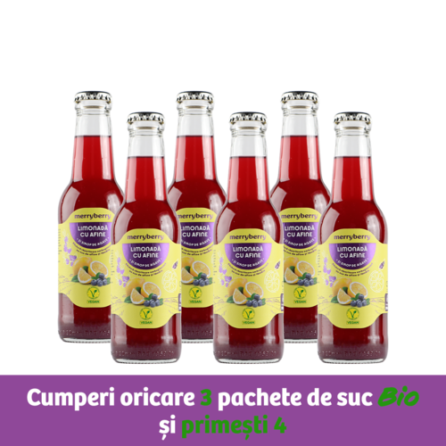 6 Sticle Limonadă Afine și sirop de agave 200ml