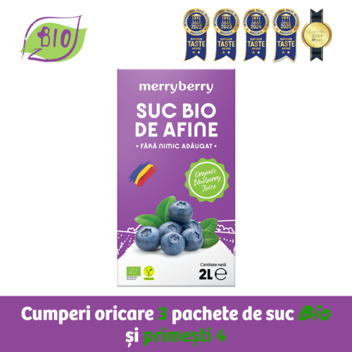 Suc BIO Natural din Afine fără zahăr 2L