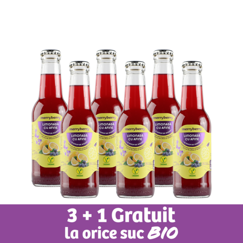 6 Sticle Limonadă Afine și sirop de agave 200ml