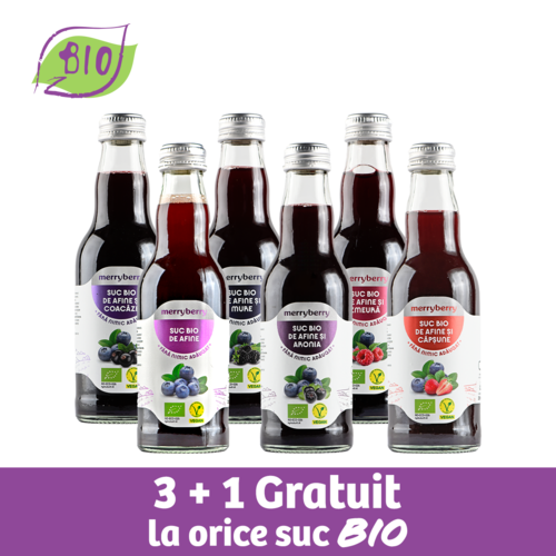 Mix 6 Sucuri BIO Afine si BIO FRUCTE DE PADURE 200ml