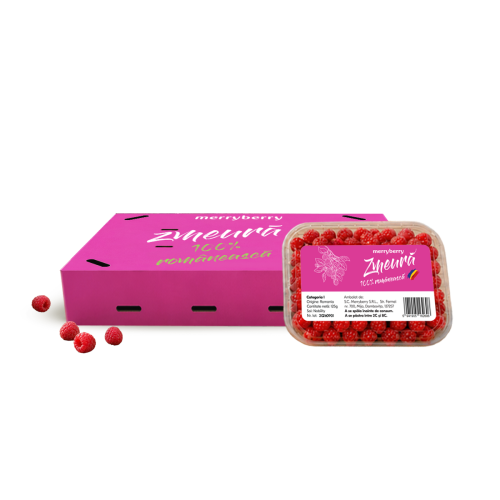 Zmeura Pachet 1.5kg