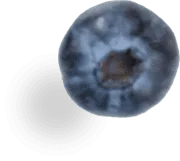 MerryBerry, cea mai mare plantatie de afini bio din Romania! Reduce grăsimea corporală