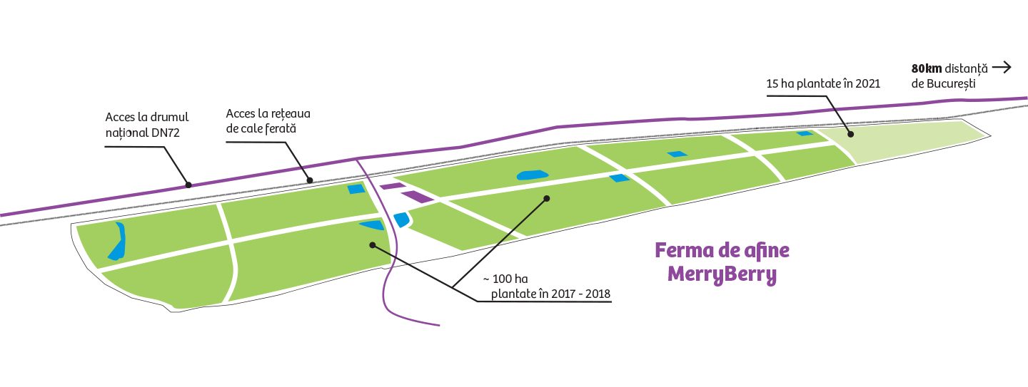 elementToZoomOn Ferma