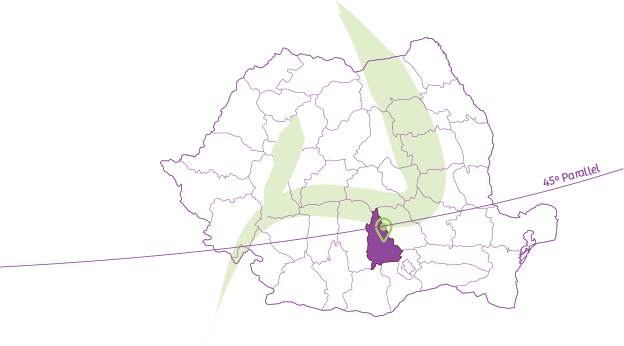 MerryBerry, cea mai mare plantatie de afini bio din Romania! Harta